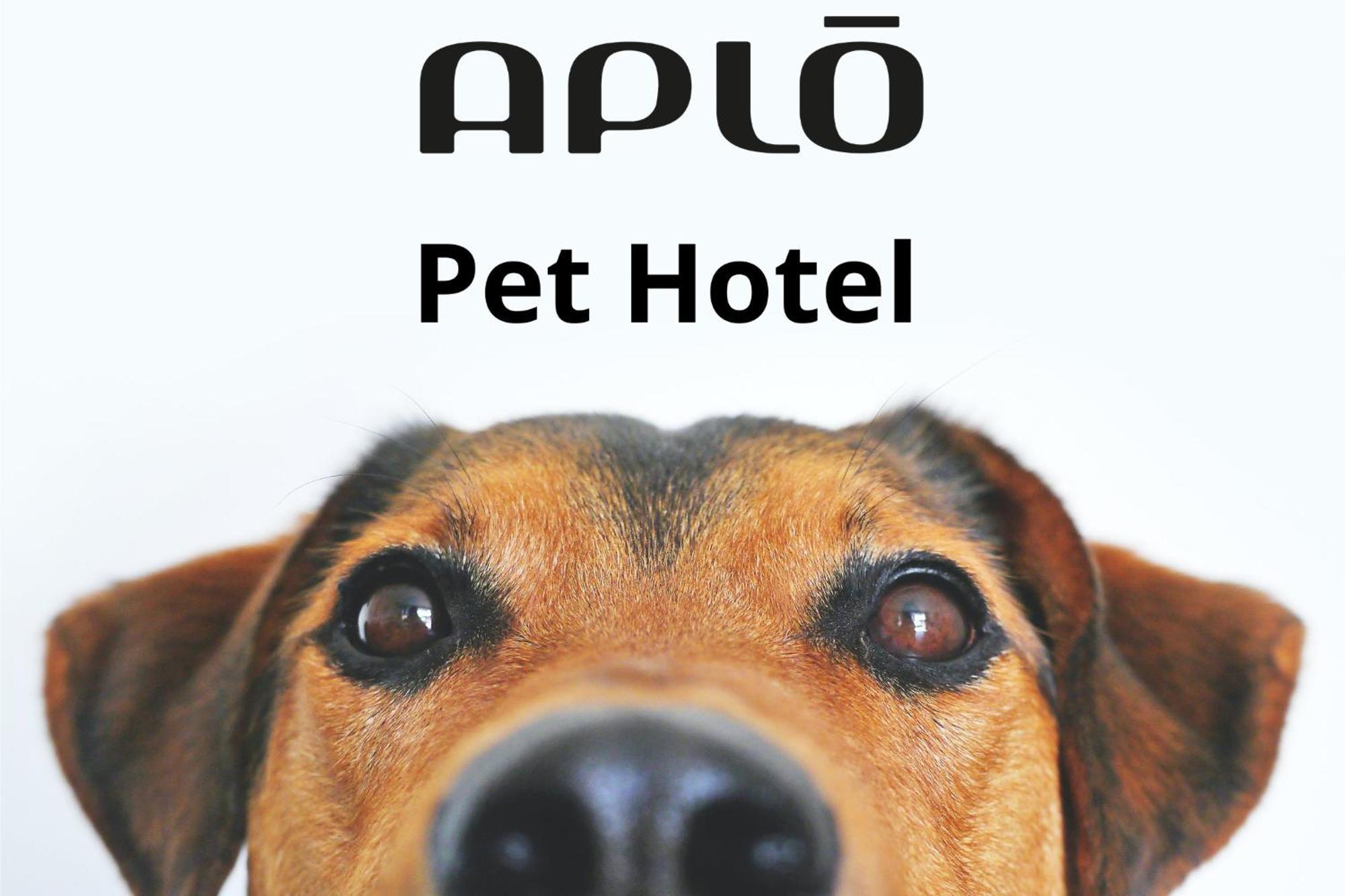 Hotel Aplo - Breakfast Experience Cervia Exterior photo